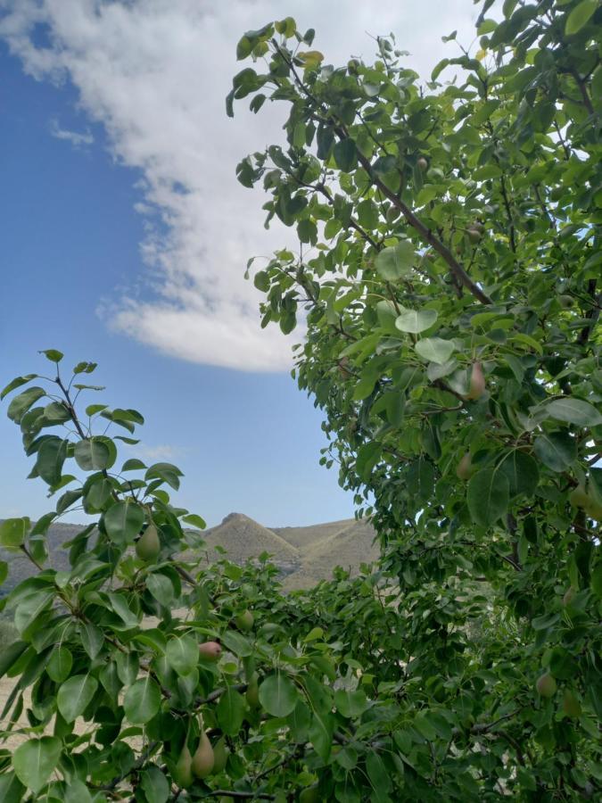 马里亚姆别墅公寓 诺托 外观 照片
